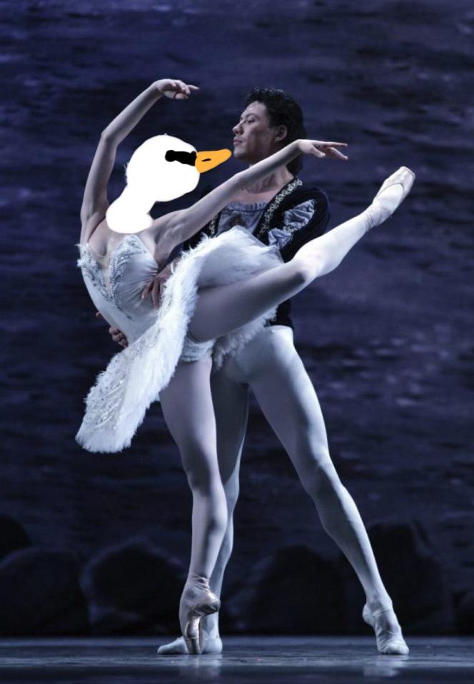 Odette and Siegfried from Swan Lake, but I have clumsily drawn the head of a swan over Odette's face