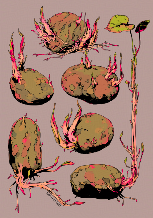 A page filled with colored sketches of sprouting potatoes.