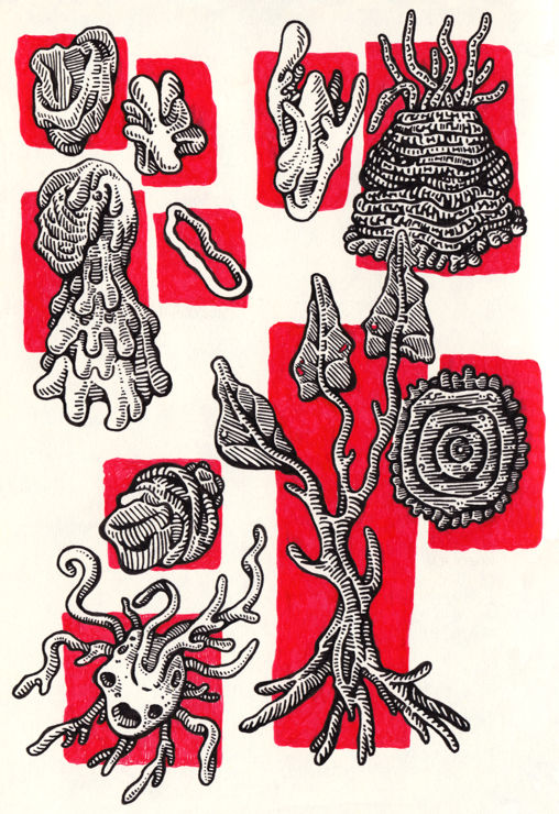 A sketchbook page filled with black pen and ink drawings of various organic forms. Each shape has its own red background behind it.