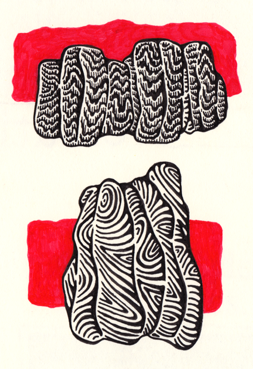 Two black pen and ink drawings of organic forms each having a red background behind it.