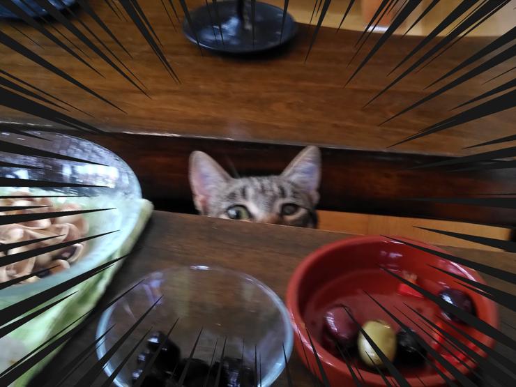 A somewhat blurry picture of a tabby cat looking over a coffee table with snacks. The cat seems to be wanting some snacks too. Only the upper part of his face is visible. Anime-style action lines are drawn all around the picture