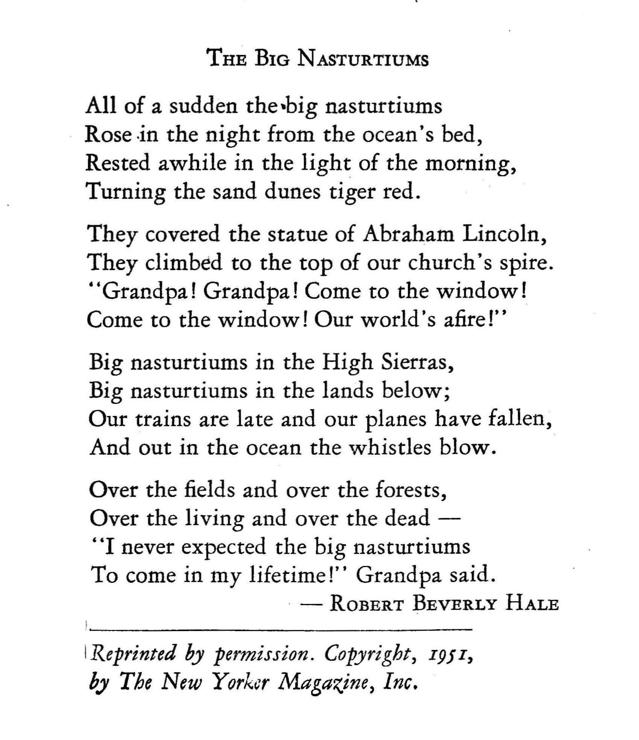 THE BIG NASTURTIUMS

All of a sudden the big nasturtiums
Rose in the night from the ocean’s bed,
Rested awhile in the light of the morning,
Turning the sand dunes tiger red.

They covered the statue of Abraham Lincoln,
They climbed to the top of our church’s spire.
“Grandpa! Grandpa! Come to the window!
Come to the window! Our world’s afire!”’

Big nasturtiums in the High Sierras,
Big nasturtiums in the lands below;
Our trains are late and our planes have fallen,
And out in the ocean the whistles blow.

Over the fields and over the forests,
Over the living and over the dead —
“I never expected the big nasturtiums
To come in my lifetime!”’ Grandpa said.

— Robert Beverly Hale

Reprinted by permission. Copyright, 1951, by The New Yorker Magazine, Inc. 